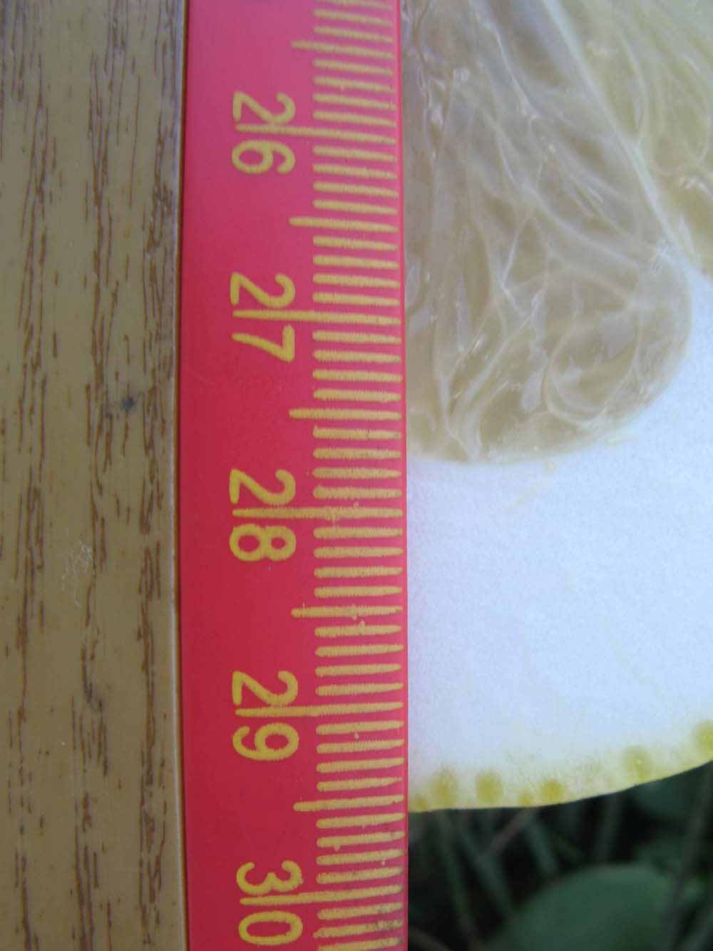              Fruit cross-section (Winter Haven, FL)       